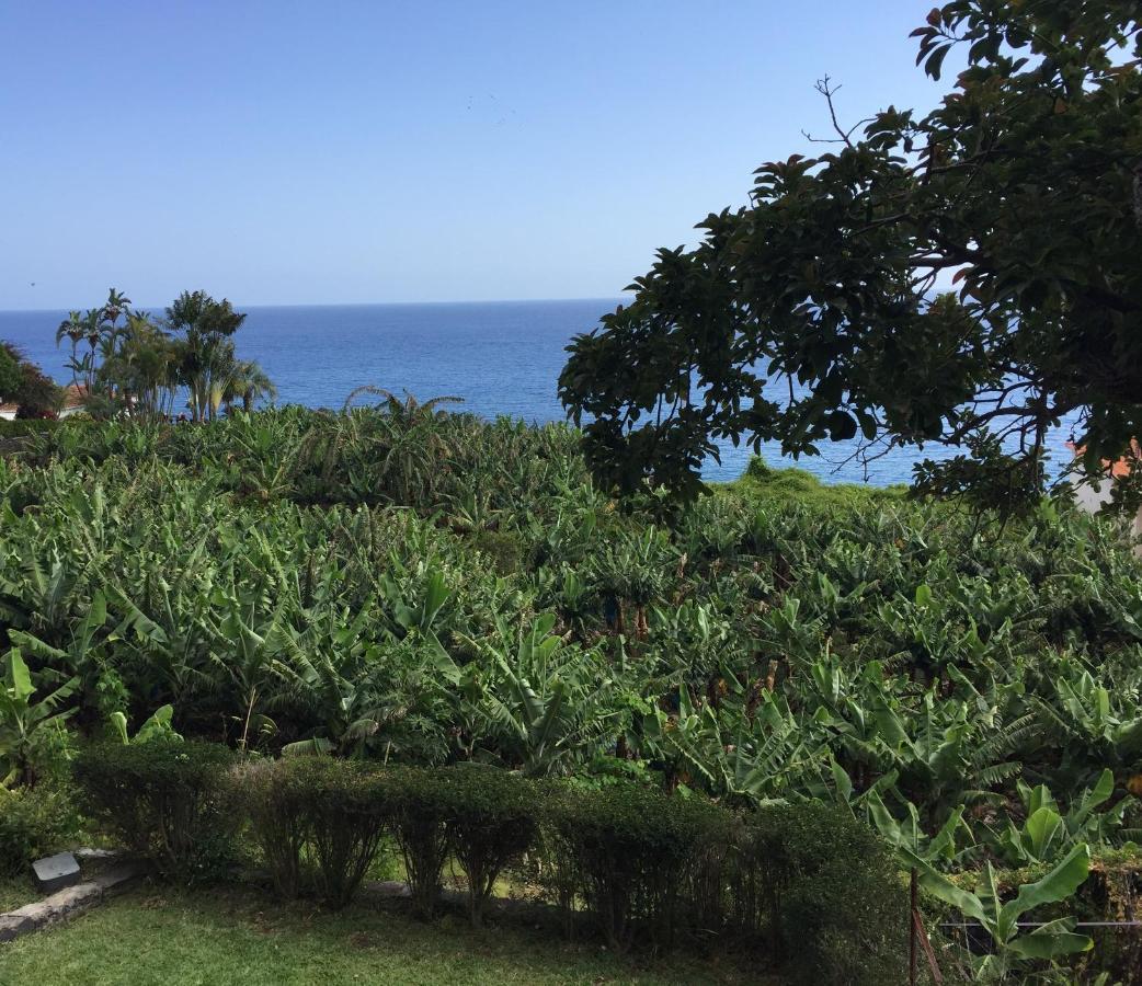 Chalet Tropical Arco da Calheta (Madeira) Exterior foto